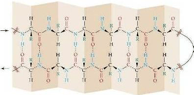 struttura chimica seta pettinata