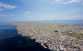 Inquinamento oceani