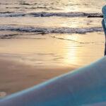 Colla di fibroina di seta