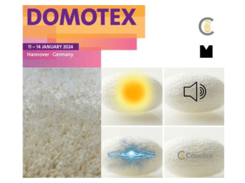 Cosetex a domotex tappeti in seta