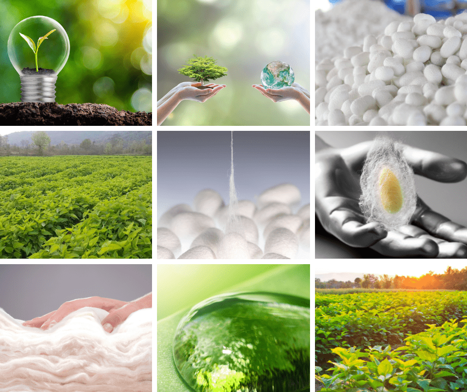 sistema produttivo seta certificata e biologica