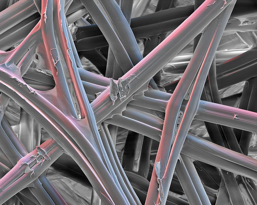 immagine microscopio filato di seta