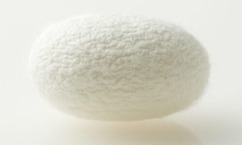 Bozzolo di seta naturale