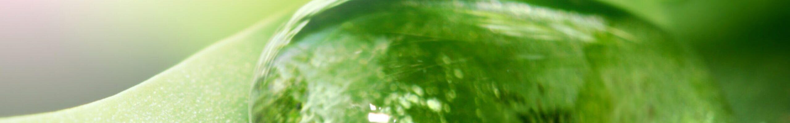 silk padding sustainable