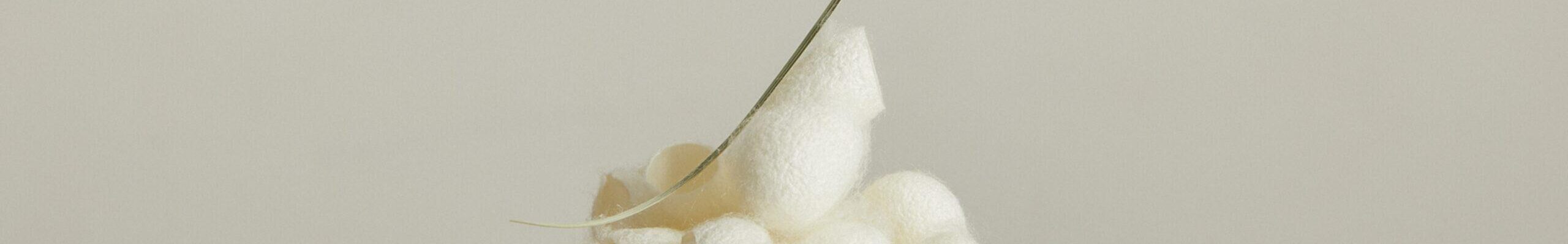 silk cocoons for padding