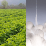 silk for agricolture