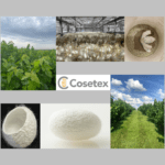 enviromental protection by silk