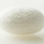 silk cocoon