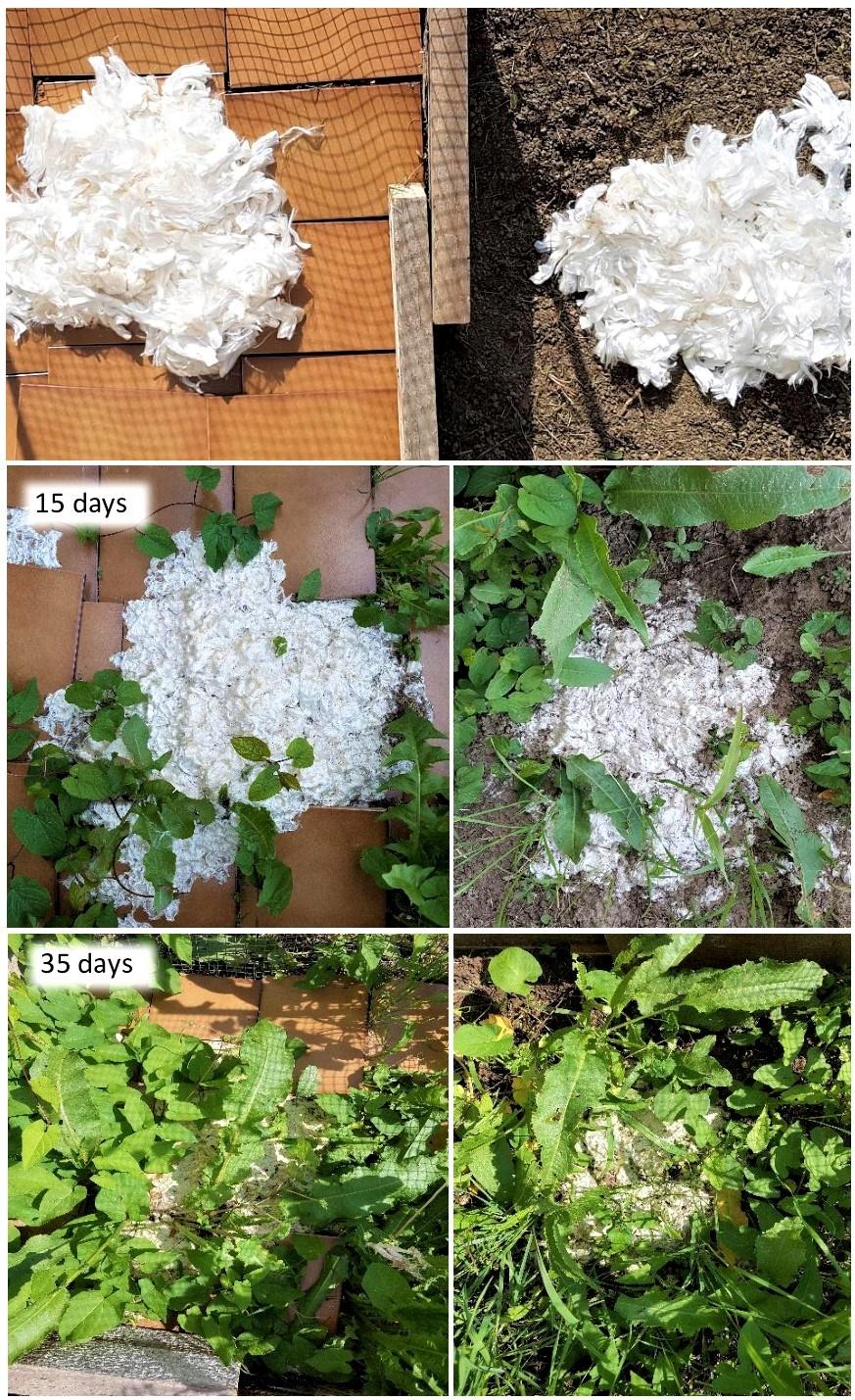 seta fibra tessile naturale b