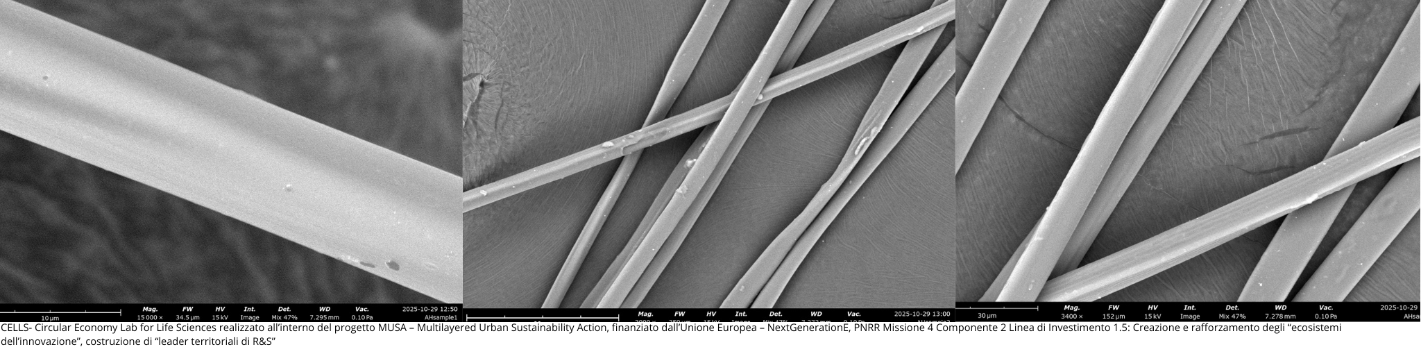 la seta ultrafine microsilk