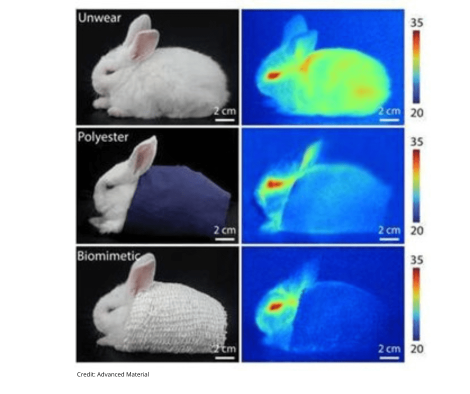 il test con tessuto di fibroina di seta