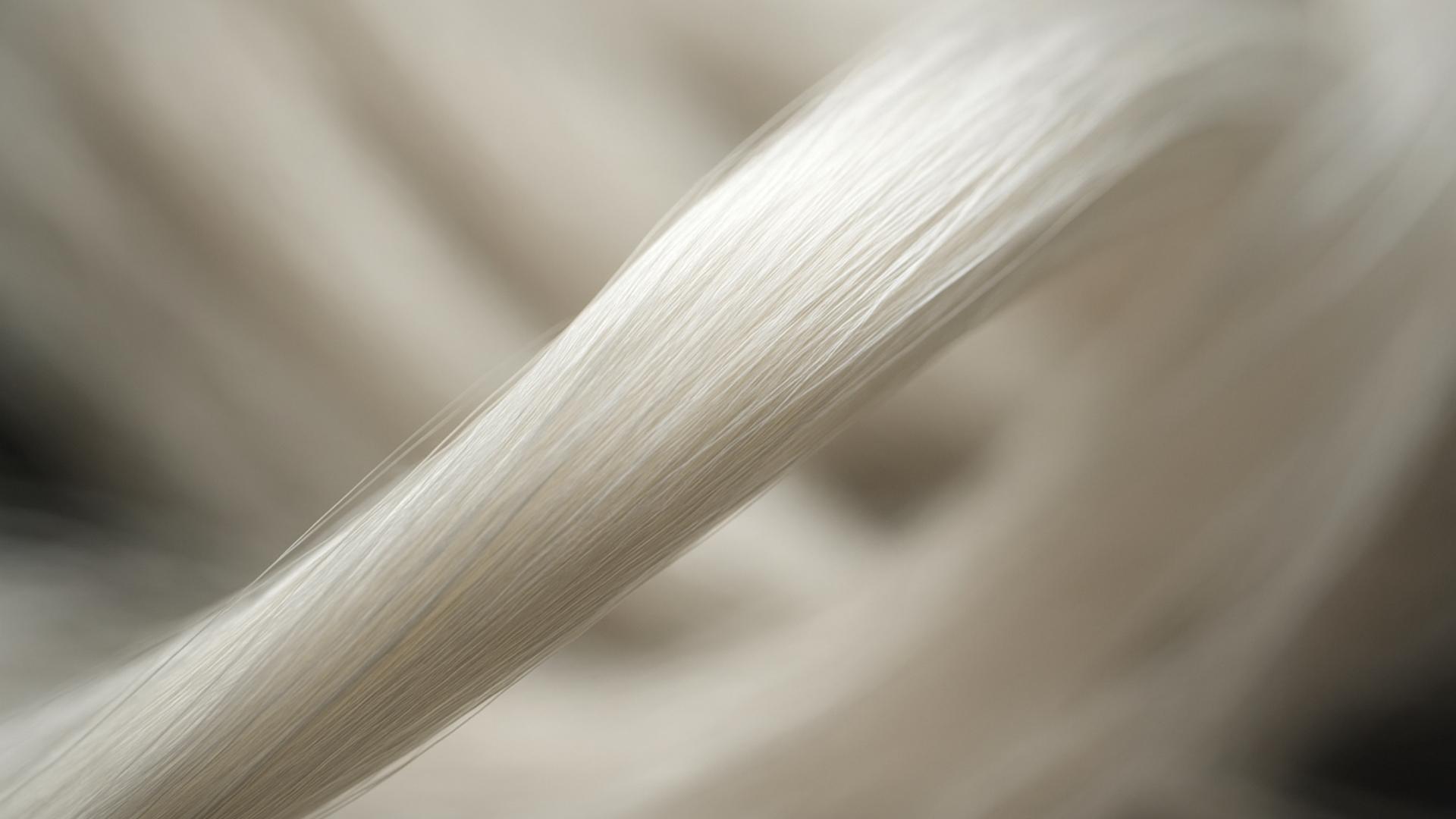 seta e fibroina di seta